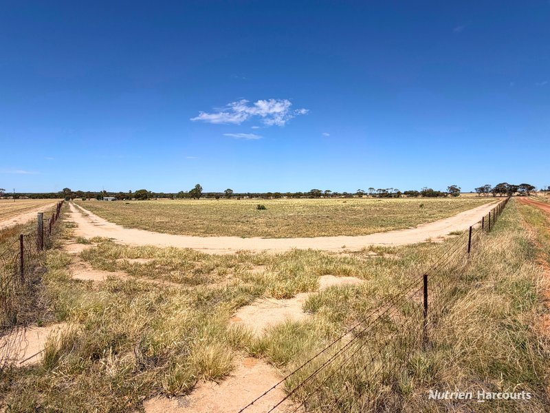 Photo - 54 Rabbit Proof Fence Road, Walgoolan WA 6422 - Image 19
