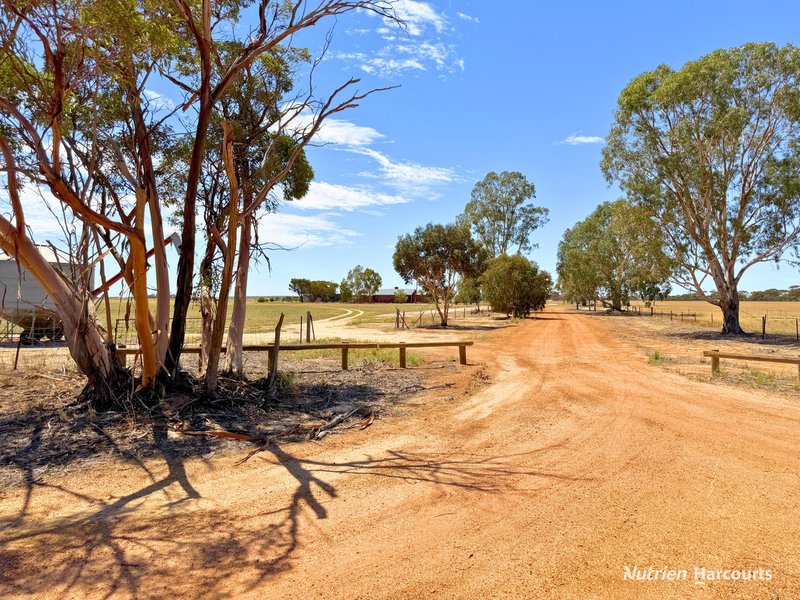 Photo - 54 Rabbit Proof Fence Road, Walgoolan WA 6422 - Image 20