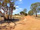 Photo - 54 Rabbit Proof Fence Road, Walgoolan WA 6422 - Image 20