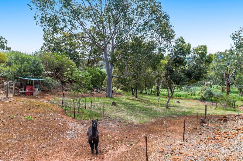 Photo - 54 Ridgetop Ramble , Bindoon WA 6502 - Image 21