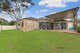 Photo - 54 Scenic Circle, Budgewoi NSW 2262 - Image 7