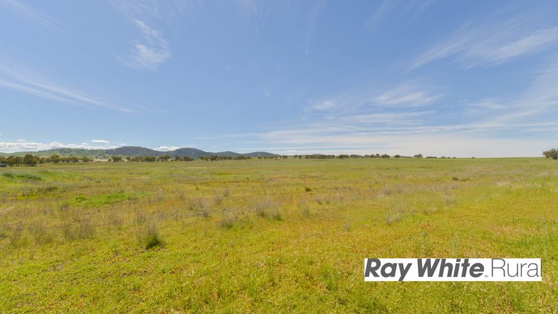 Photo - 54 Sneesbys Lane, Manilla NSW 2346 - Image 13