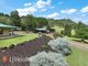 Photo - 540 Carrowbrook Road, Singleton NSW 2330 - Image 25