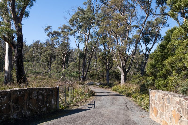 Photo - 540 Lilydale Road, Underwood TAS 7268 - Image 24