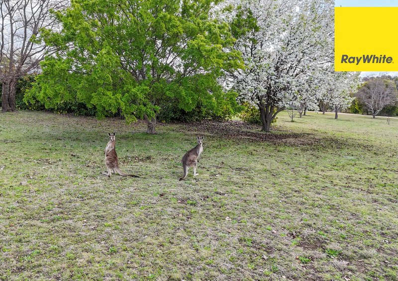 Photo - 540 Old Bundarra Road, Inverell NSW 2360 - Image 24