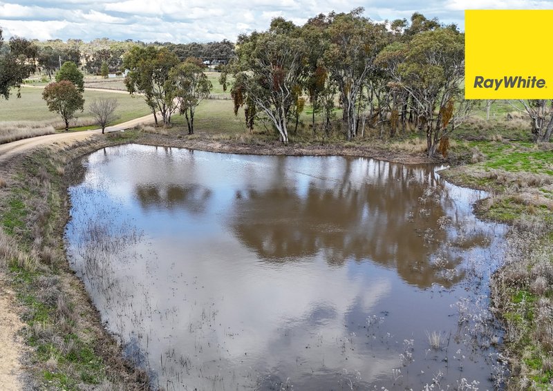 Photo - 540 Old Bundarra Road, Inverell NSW 2360 - Image 25