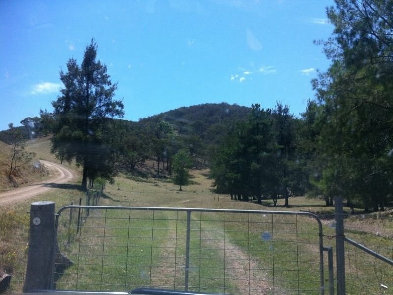 Photo - 540 Riverlea Road, Mudgee NSW 2850 - Image 2