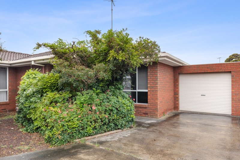Photo - 5/41 Rugby Street, Belmont VIC 3216 - Image 1