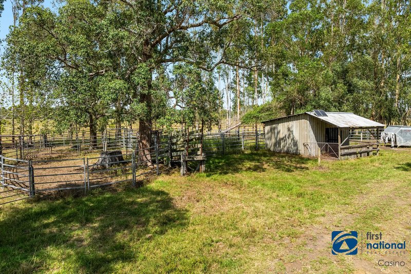 Photo - 541 Tatham Ellangowan Road, Tatham NSW 2471 - Image 5