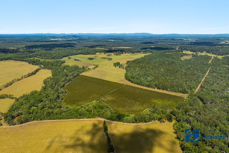 Photo - 541 Tatham Ellangowan Road, Tatham NSW 2471 - Image 19