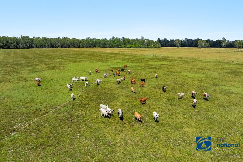 Photo - 541 Tatham Ellangowan Road, Tatham NSW 2471 - Image 21