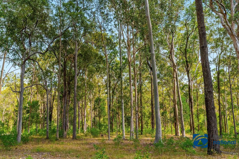 Photo - 541 Tatham Ellangowan Road, Tatham NSW 2471 - Image 25