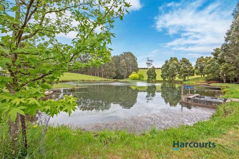 Photo - 542 Nine Mile Road, West Pine TAS 7316 - Image 3