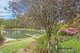 Photo - 542 Nine Mile Road, West Pine TAS 7316 - Image 4