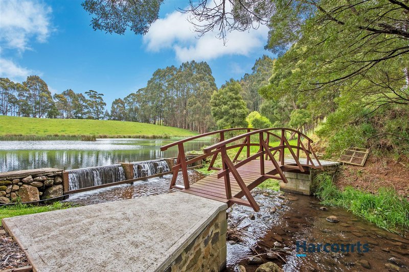 Photo - 542 Nine Mile Road, West Pine TAS 7316 - Image 5