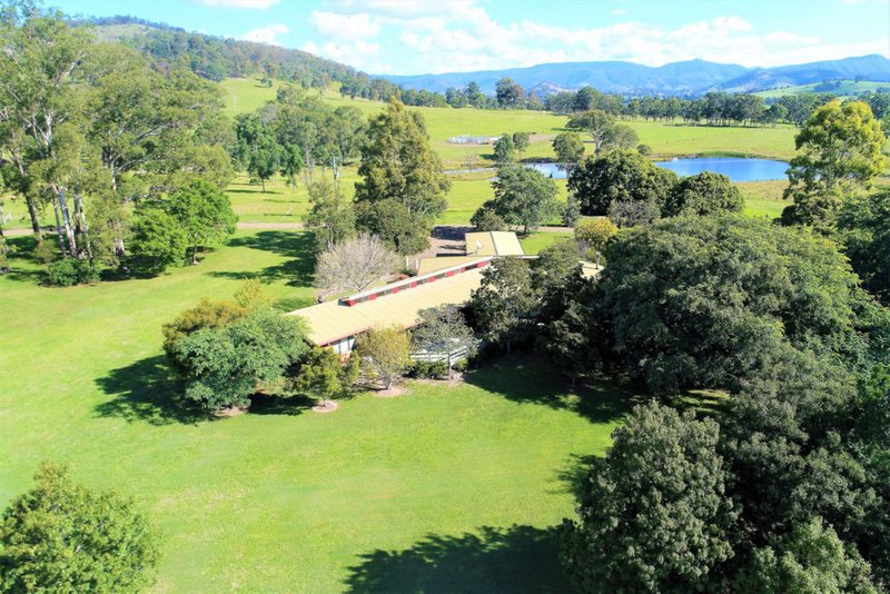 Photo - 543 Barrington East Road 'Tupelo Farm' Road, Gloucester NSW 2422 - Image 14