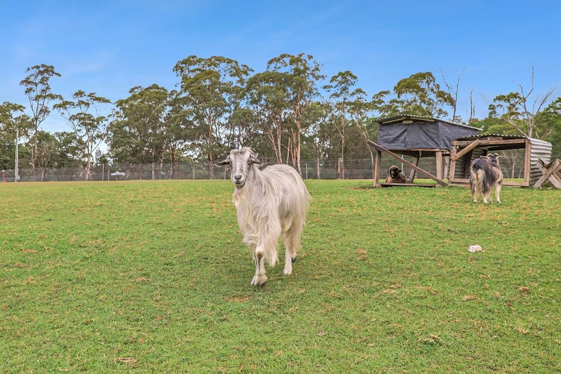Photo - 543 Blaxlands Ridge Road, Blaxlands Ridge NSW 2758 - Image 6