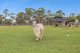 Photo - 543 Blaxlands Ridge Road, Blaxlands Ridge NSW 2758 - Image 6