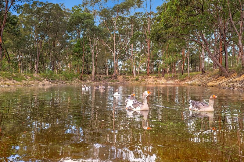 Photo - 543 Blaxlands Ridge Road, Blaxlands Ridge NSW 2758 - Image 7