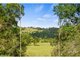 Photo - 543 Maleny Kenilworth Road, Witta QLD 4552 - Image 8