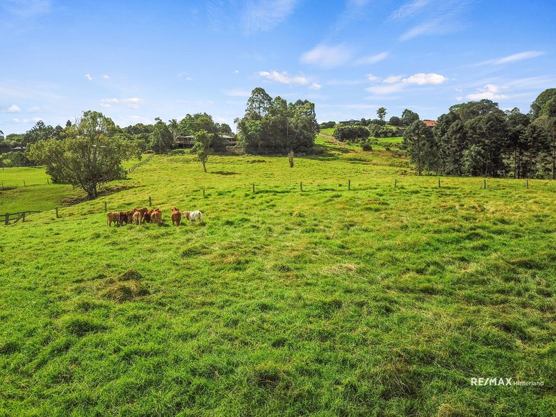 Photo - 543 Maleny Kenilworth Road, Witta QLD 4552 - Image 10