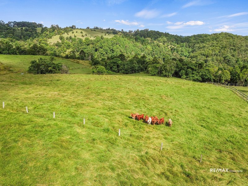 Photo - 543 Maleny Kenilworth Road, Witta QLD 4552 - Image 17