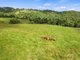 Photo - 543 Maleny Kenilworth Road, Witta QLD 4552 - Image 17