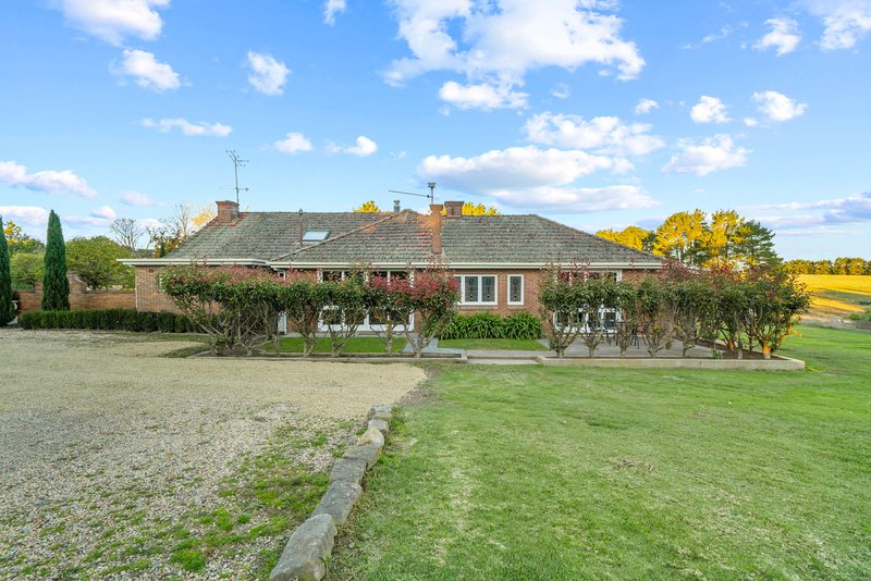 Photo - 544 Mountain Ash Road, Goulburn NSW 2580 - Image 9