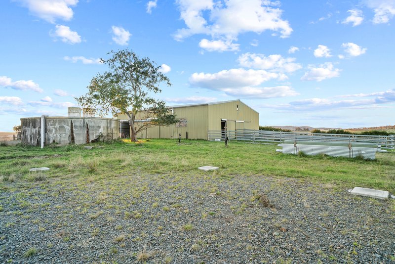 Photo - 544 Mountain Ash Road, Goulburn NSW 2580 - Image 28