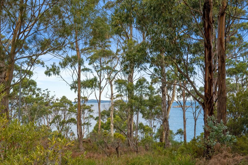 Photo - 5442 Channel Highway, Gordon TAS 7150 - Image 12