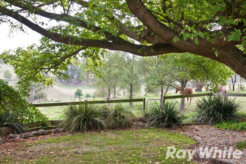 Photo - 545 Princes Way, Longwarry North VIC 3816 - Image 23