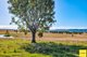 Photo - 546 Mount Beppo Road, Mount Beppo QLD 4313 - Image 8