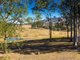 Photo - 547 Comboyne Road, Wingham NSW 2429 - Image 20