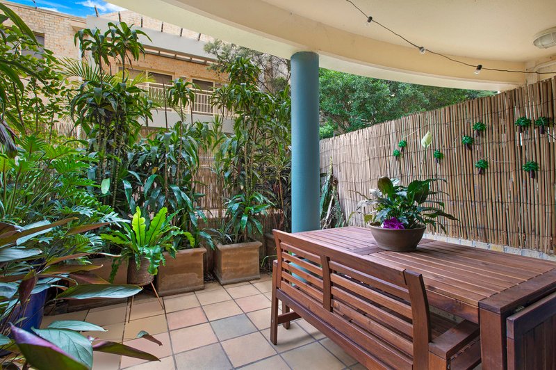 Photo - 5/48-50 Boronia Street, Kensington NSW 2033 - Image 2