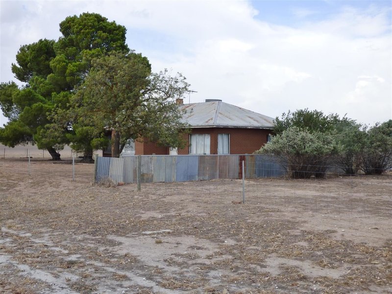 Photo - 548 Grahams Bridge Road, Bungallaly , Horsham VIC 3400 - Image 10