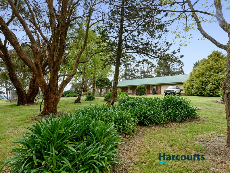 Photo - 549 Sunnyside Road, Sunnyside TAS 7305 - Image 4