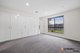 Photo - 54B Mcculloch Street, Curtin ACT 2605 - Image 5