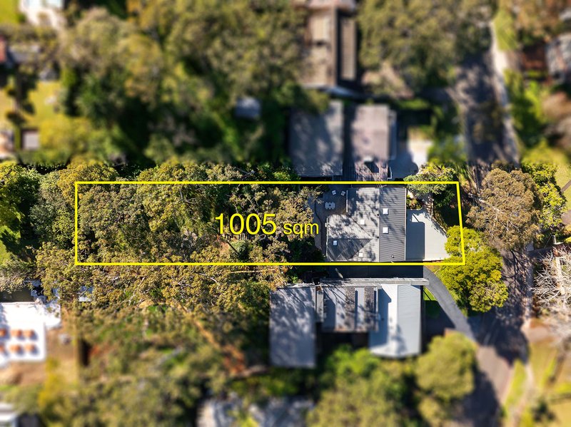 Photo - 55 Abingdon Road, Roseville NSW 2069 - Image 9
