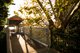 Photo - 55 Abingdon Road, Roseville NSW 2069 - Image 14