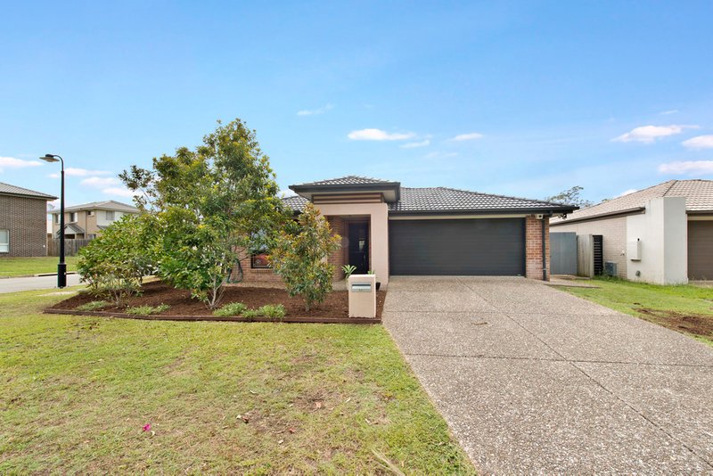 Photo - 55 Beaumont Drive, Pimpama QLD 4209 - Image 3