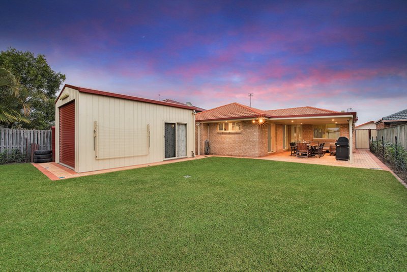 Photo - 55 Bernheid Crescent, Sippy Downs QLD 4556 - Image 8