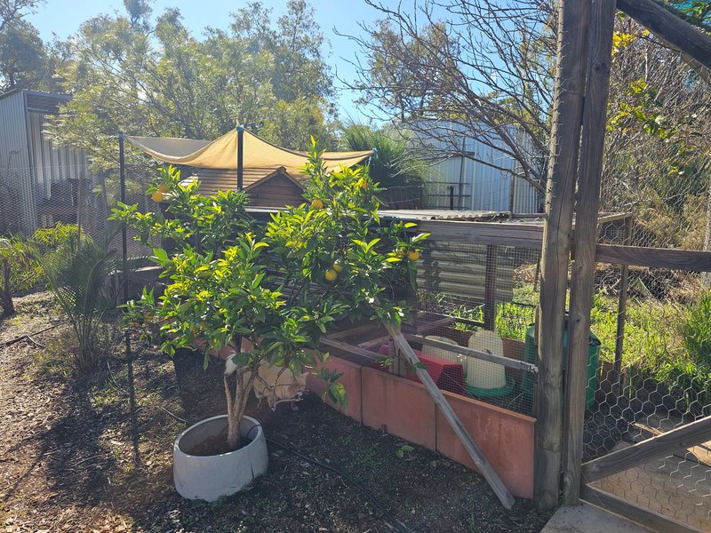 Photo - 55 Blackboy Way, Morangup WA 6083 - Image 30