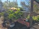 Photo - 55 Blackboy Way, Morangup WA 6083 - Image 30