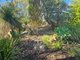 Photo - 55 Blackboy Way, Morangup WA 6083 - Image 32