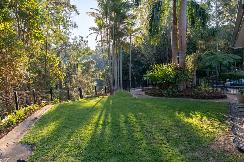 Photo - 55 Carruthers Road, West Woombye QLD 4559 - Image 10