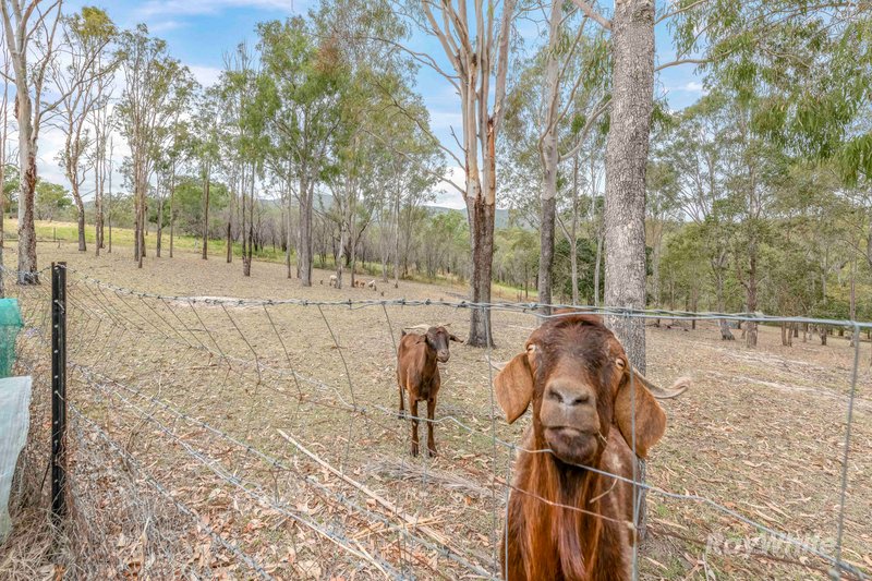 Photo - 55 Chavasse Drive, Wonbah QLD 4671 - Image 32