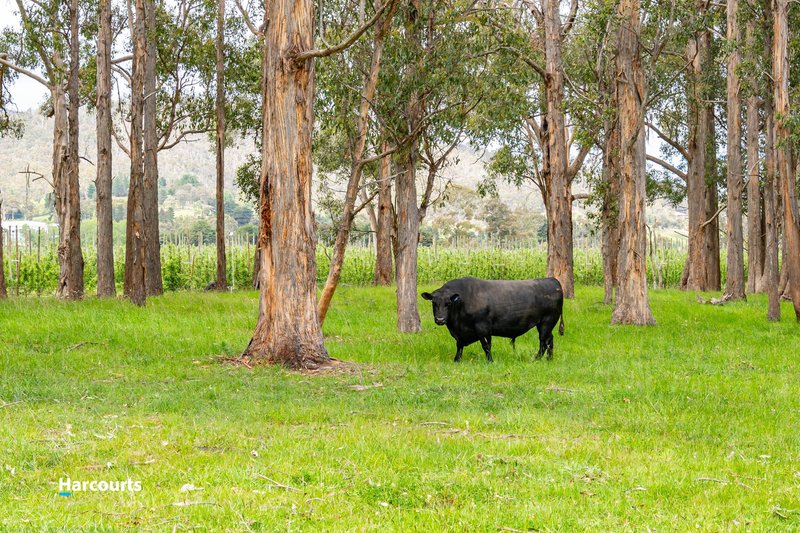 Photo - 55 Crabtree Road, Grove TAS 7109 - Image 9