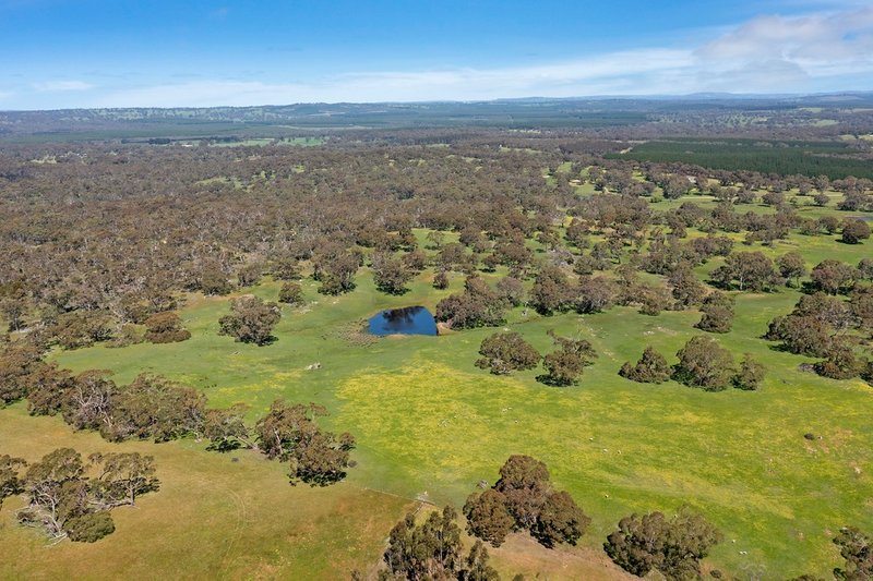 Photo - 55 Dawson Road, Mount Crawford SA 5351 - Image 10