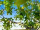 Photo - 55 Desgrand Street, Archerfield QLD 4108 - Image 18
