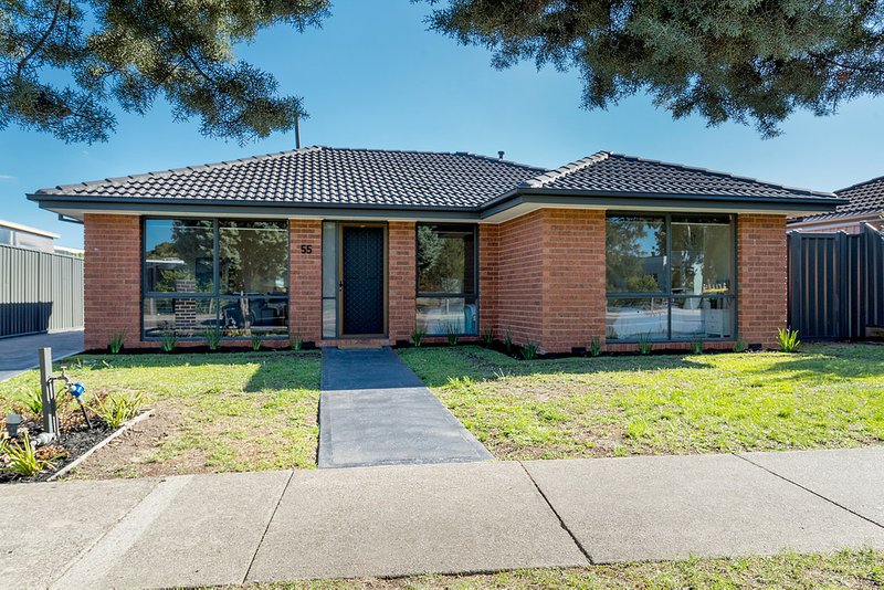 55 Dorchester Street, Craigieburn VIC 3064